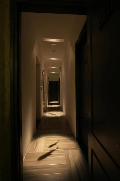 Melon Hotel Kim Mã – 사진 7